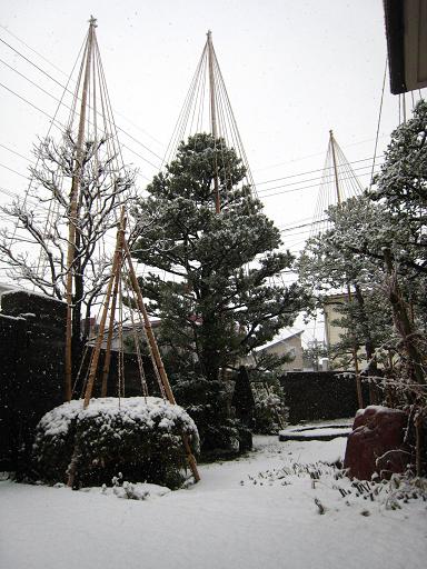 雪化粧 (2).jpg